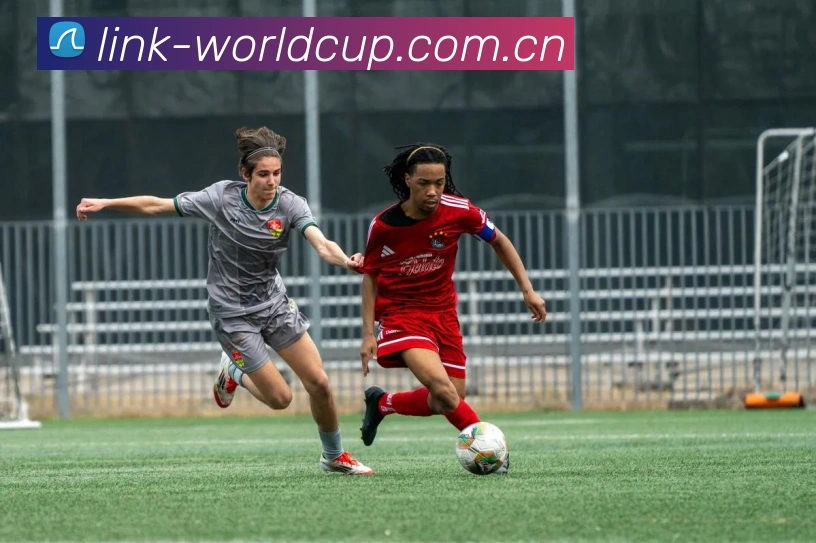 世界杯买球票品牌历程